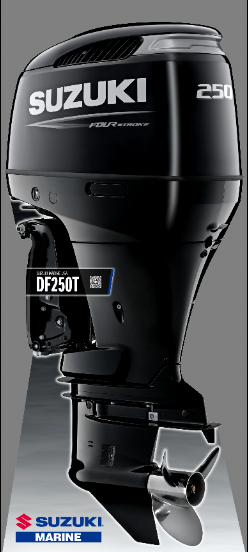 DF250T Engine Standup  Neb Blk